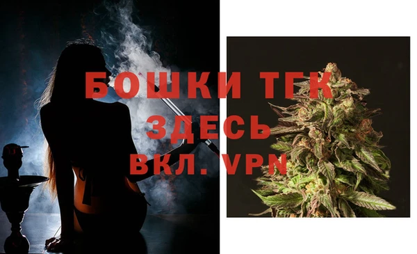 молекула духа Лихославль