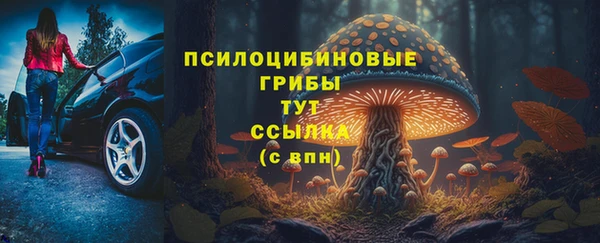 первитин Лиски