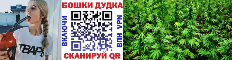 площадка клад  Владикавказ  Бошки Шишки AK-47 